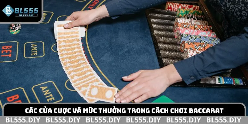 Các cửa cược và mức thưởng trong cách chơi Baccarat