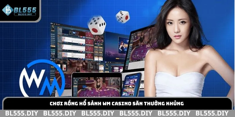 Chơi Rồng Hổ sảnh WM Casino săn thưởng khủng