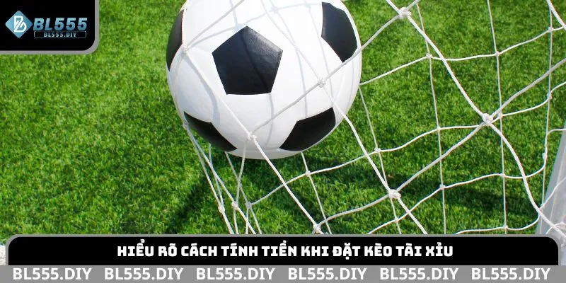 Hiểu rõ cách tính tiền khi đặt kèo Tài Xỉu