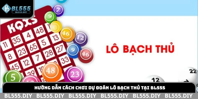 Hướng dẫn cách chơi dự đoán lô bạch thủ tại BL555