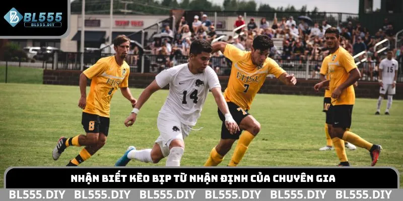 Nhận biết kèo bịp từ nhận định của chuyên gia