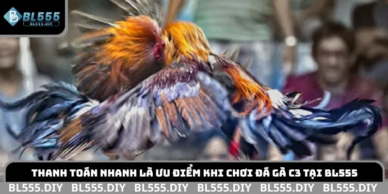Thanh toán nhanh là ưu điểm khi chơi đá gà C3 tại BL555