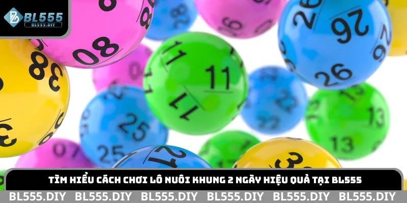 Tìm hiểu cách chơi lô nuôi khung 2 ngày hiệu quả tại BL555