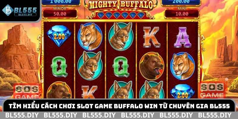 Tìm hiểu cách chơi slot game Buffalo Win từ chuyên gia BL555