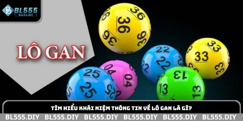 Tìm hiểu khái niệm thông tin về lô gan là gì?