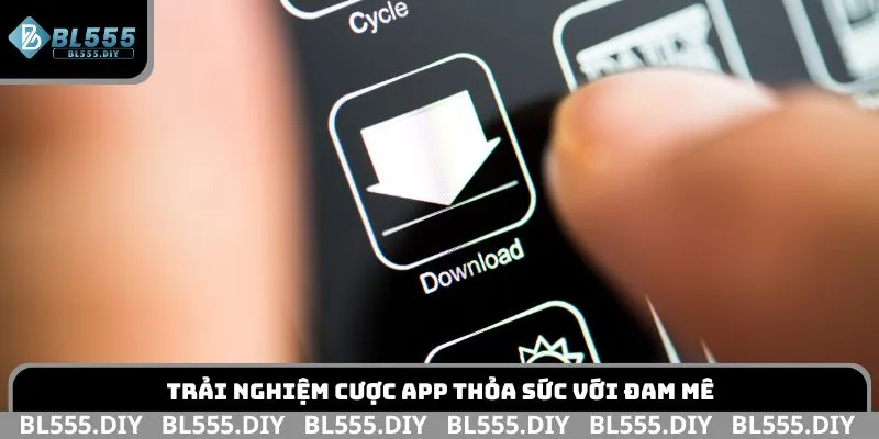 Trải nghiệm cược app thỏa sức với đam mê
