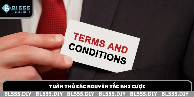 Tuân thủ các nguyên tắc khi cược